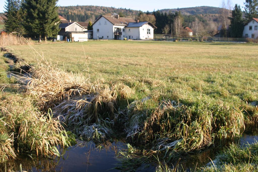 Apartament Haus Am Treffenbach Waldmünchen Zewnętrze zdjęcie
